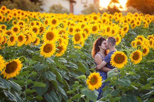 fotografia-engagement-campo-girasole-bologna
